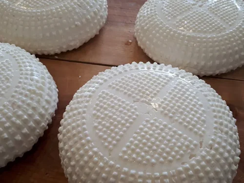 Twaróg - Spiżarnia Hrabiny Potulickiej